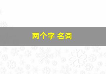 两个字 名词